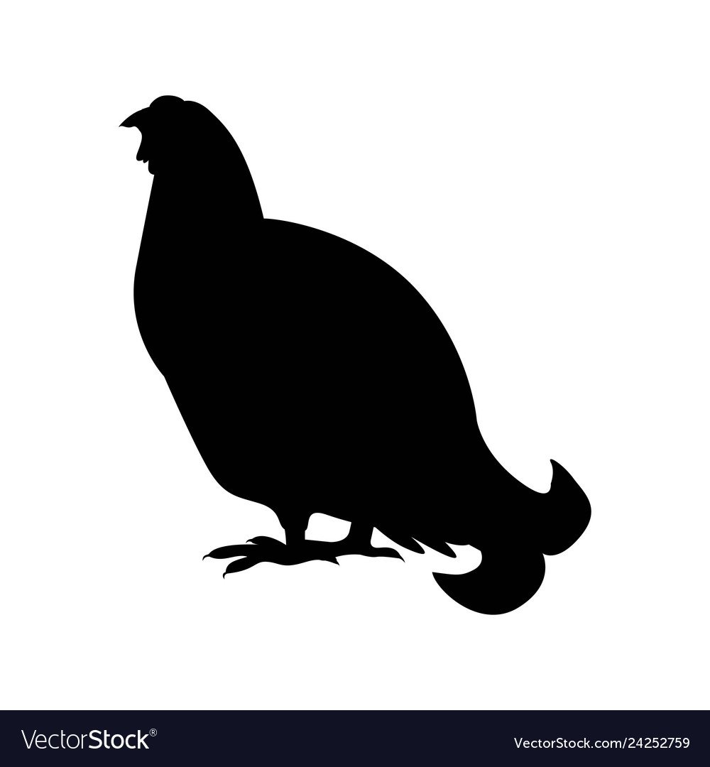 Силуэт глухаря