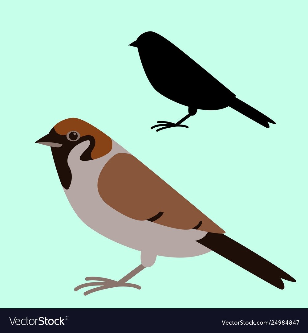 Синичка раскраска для детей