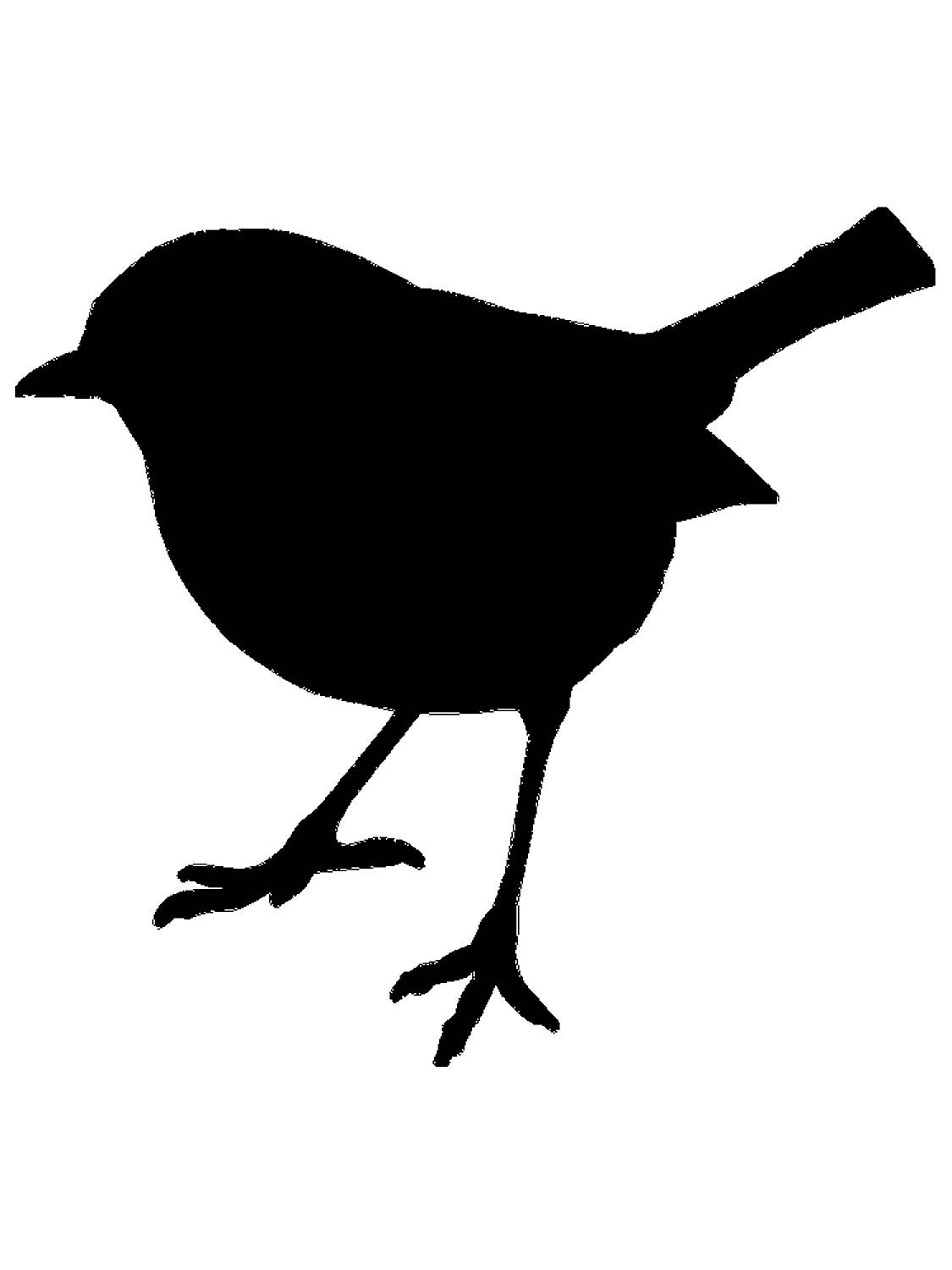 Птичка раскраска для малышей