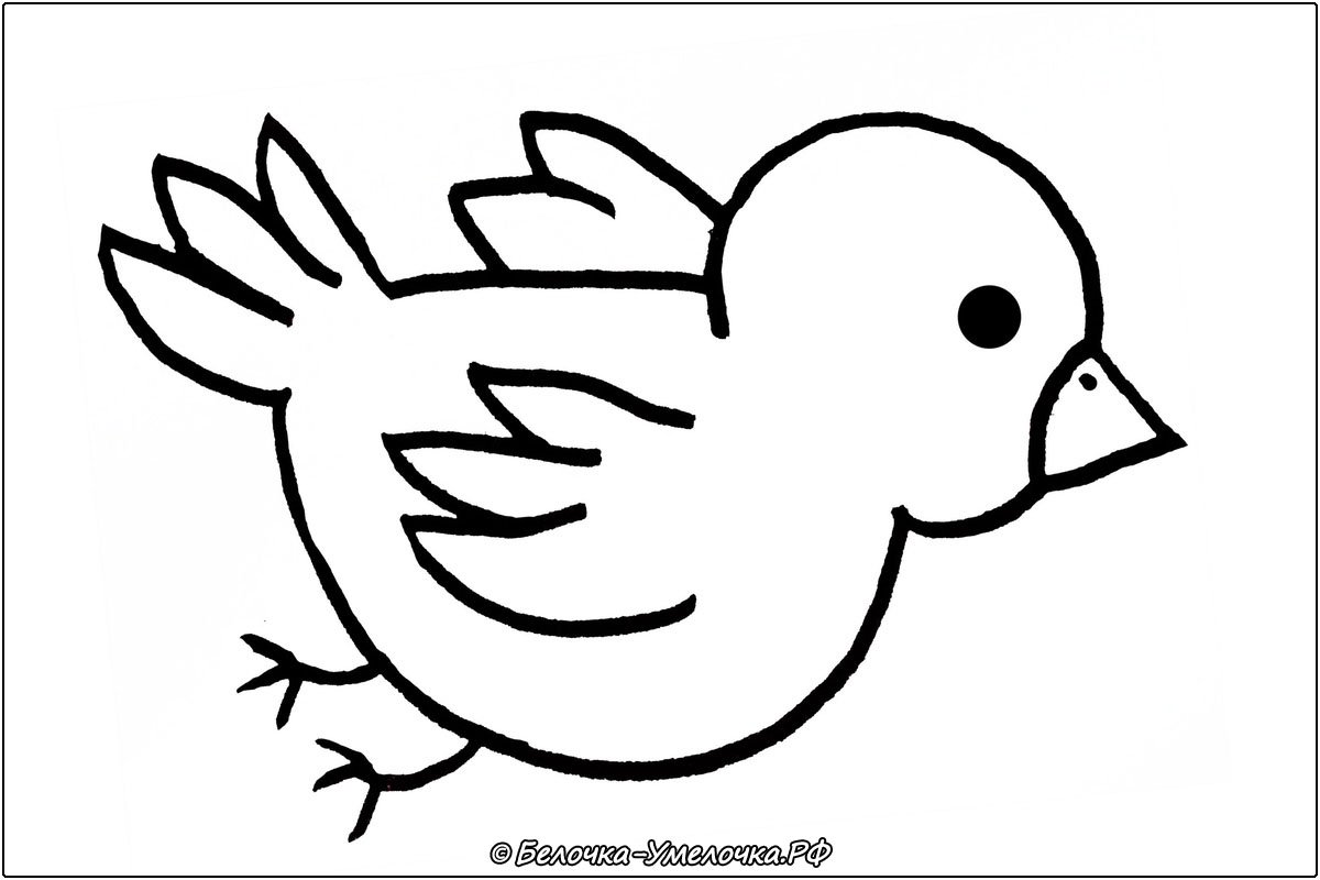 Трафареты птиц для декора