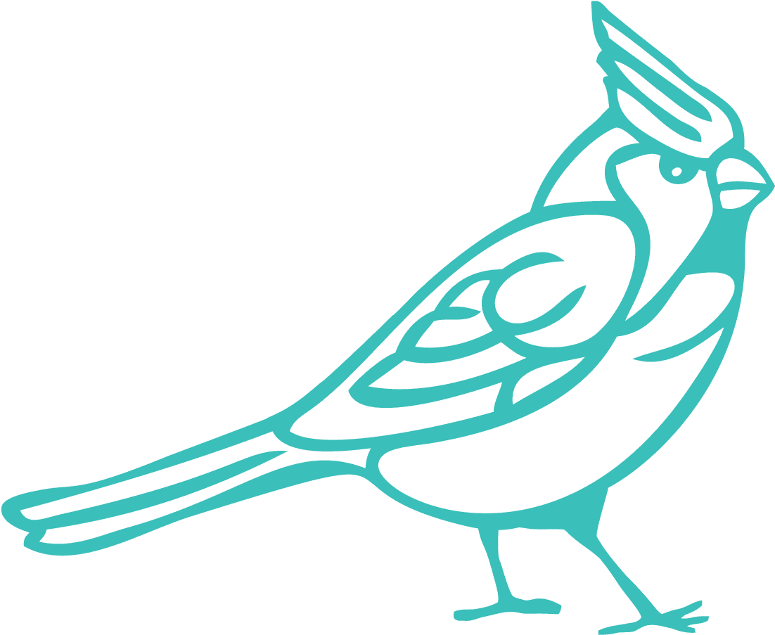 Птицы. Раскраска