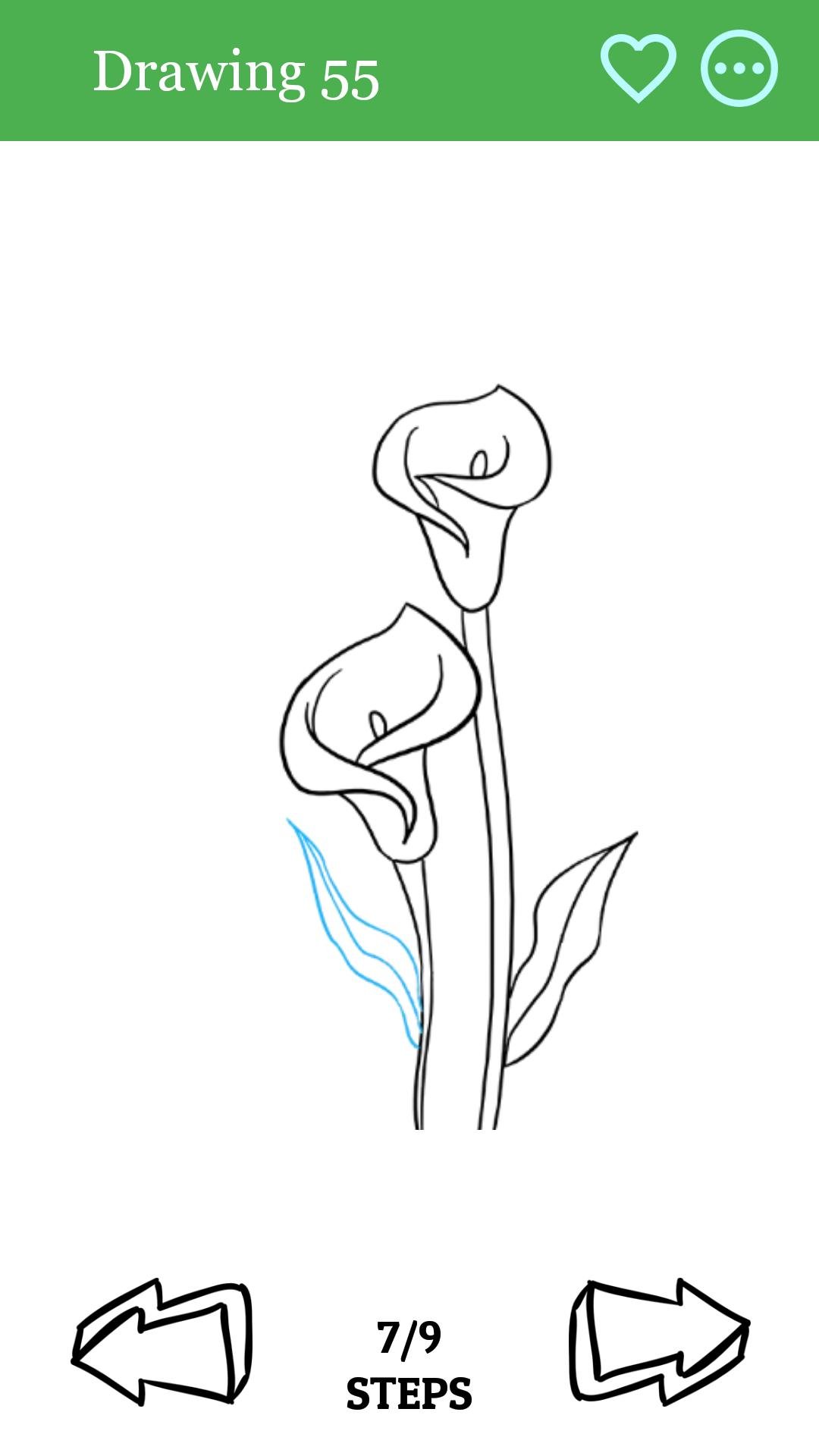 Каллы рисунок