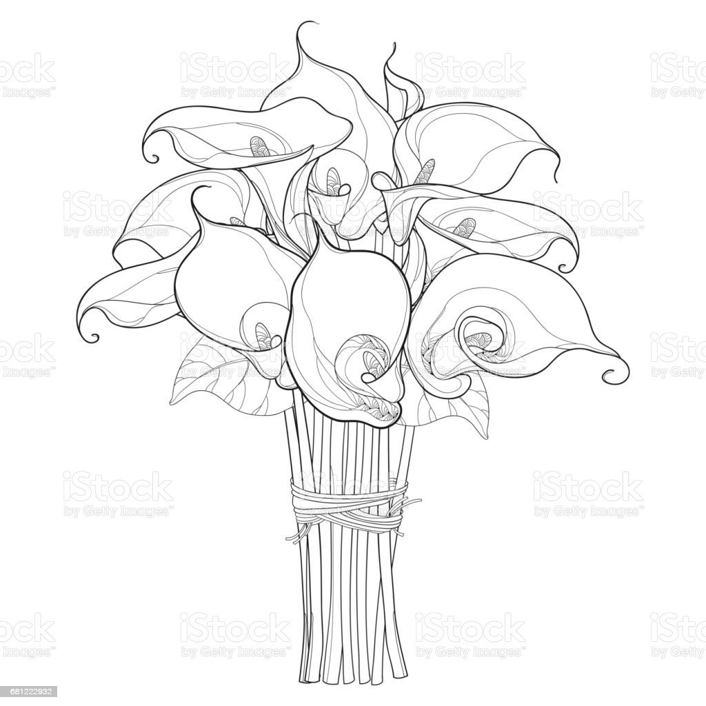 Каллы букет