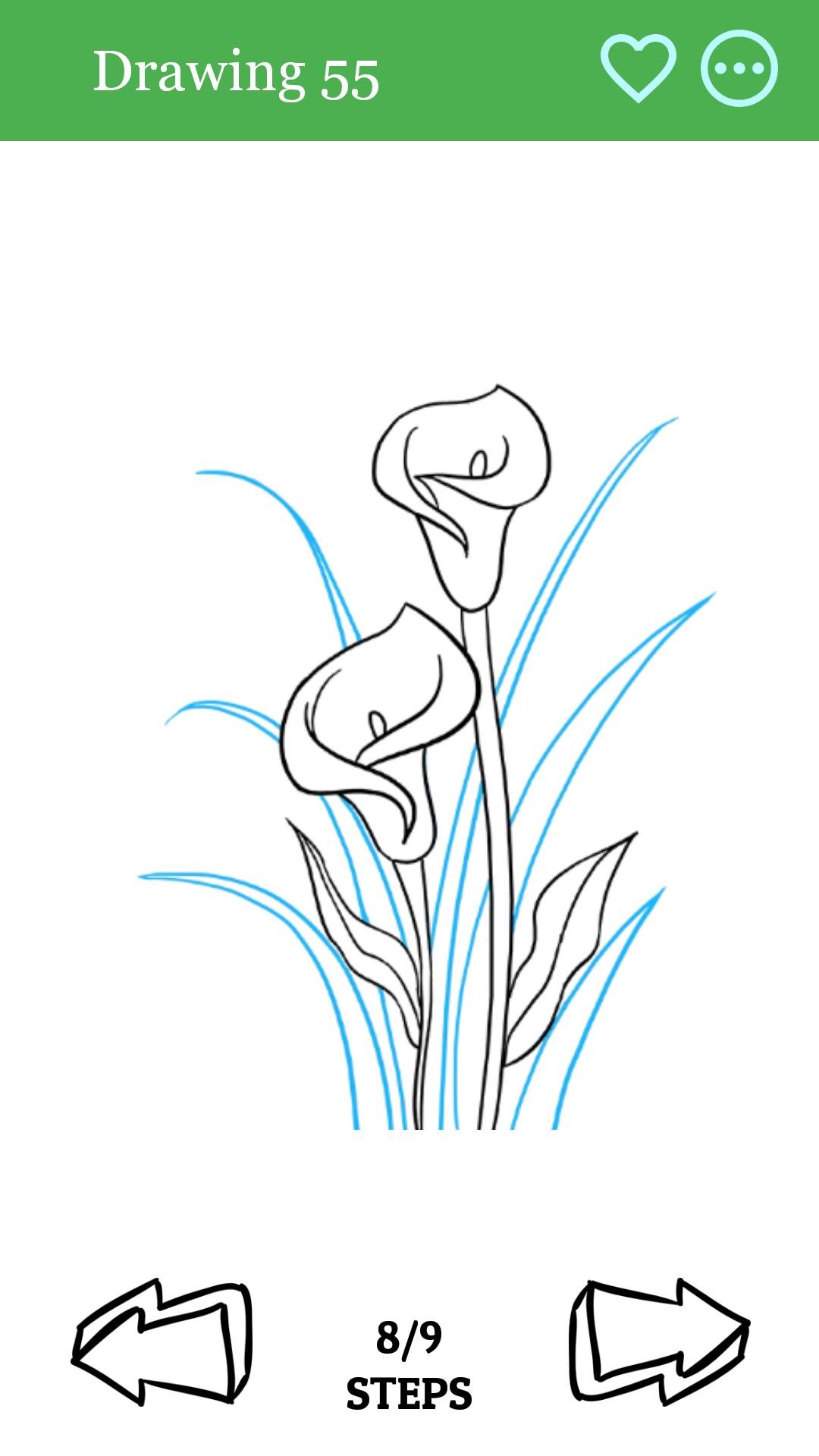 Каллы символика