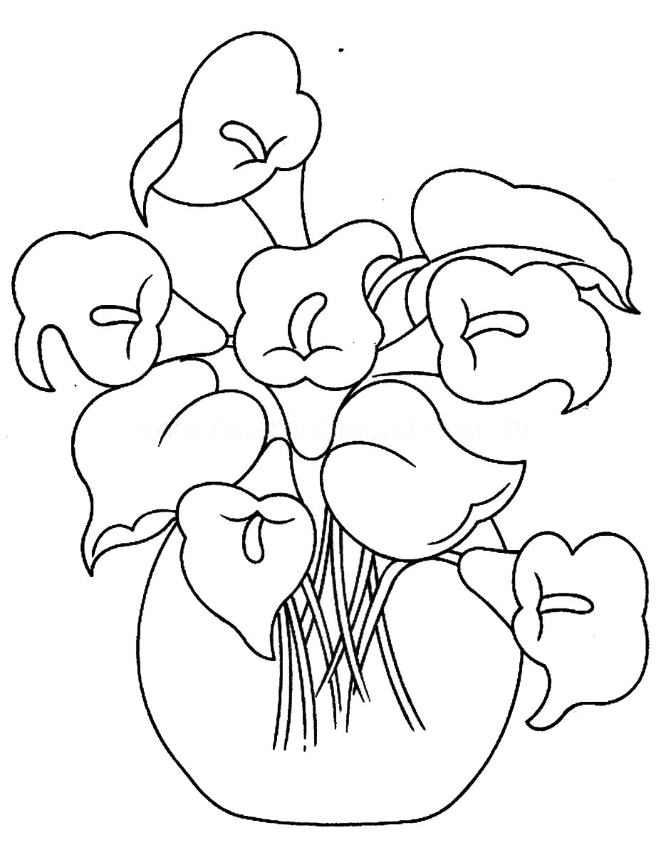 Раскраска цветы каллы