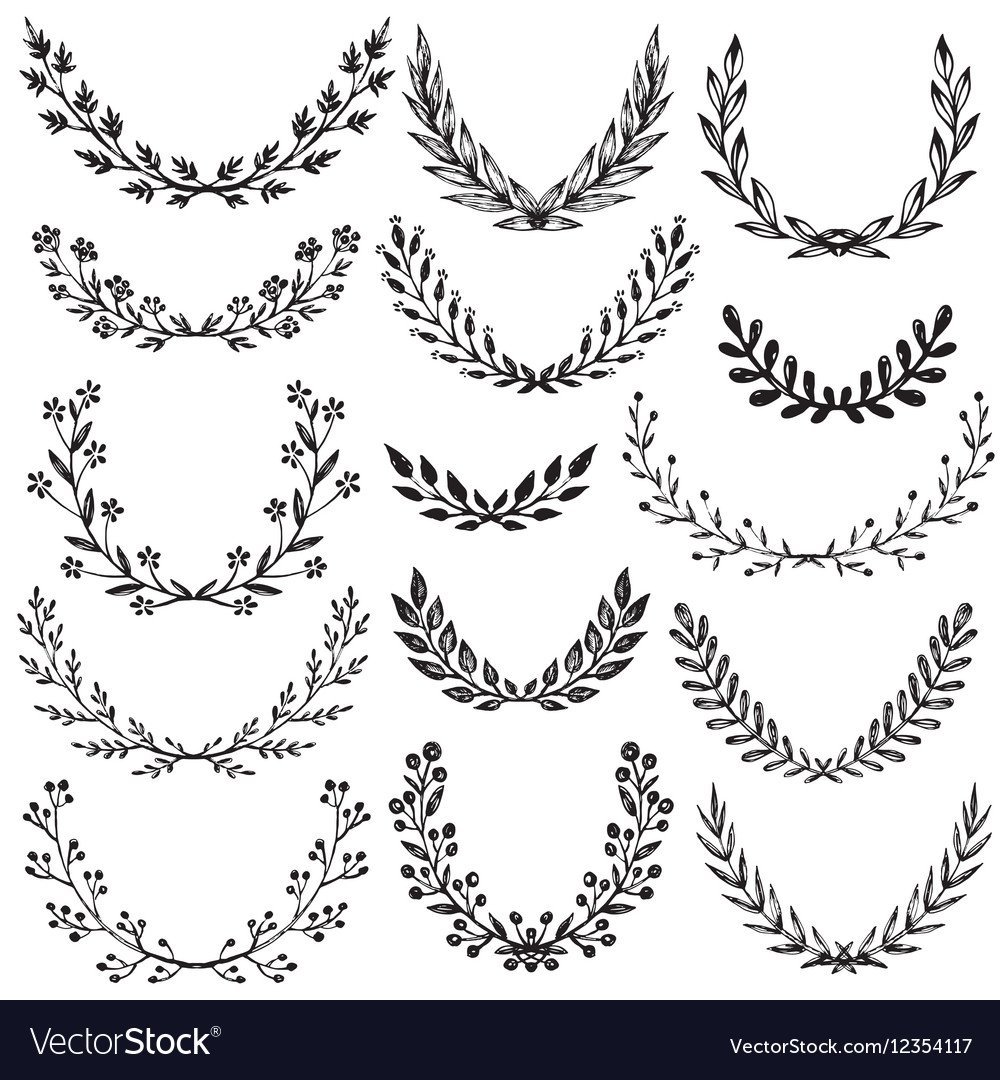 Тату Лавровая ветвь эскиз на ключицы