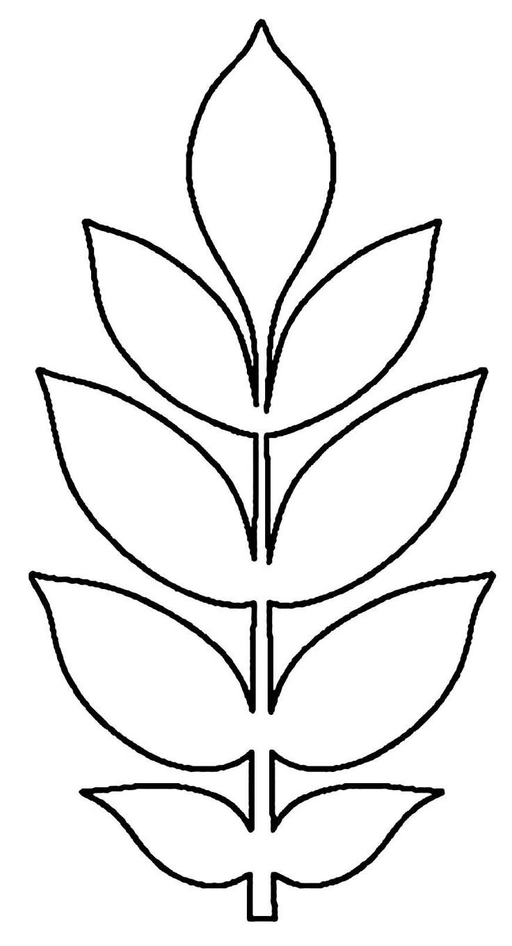 Трафареты листиков для цветов
