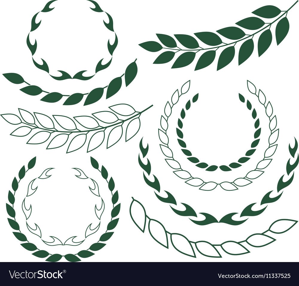 Лавровый венок вектор