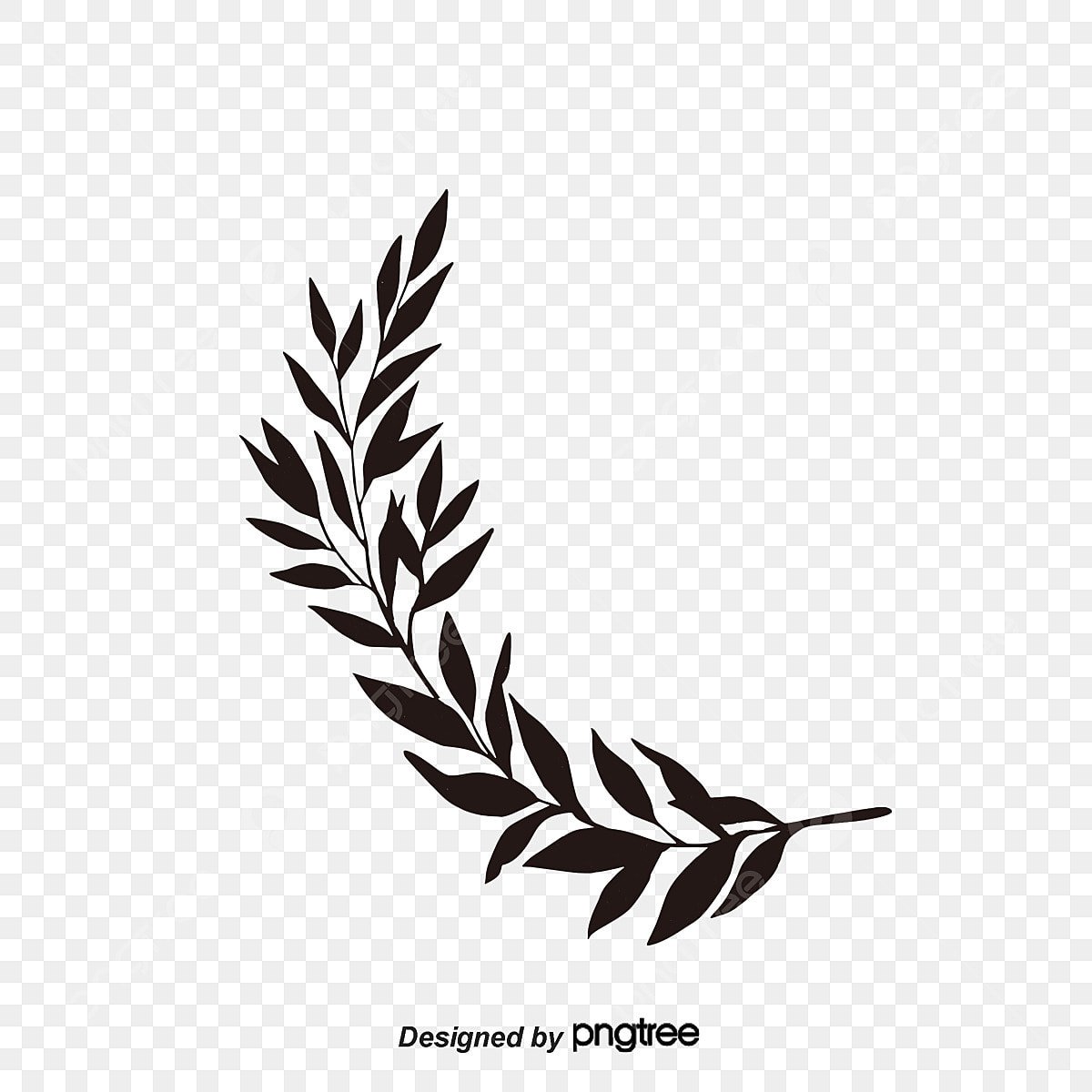 Оливковая веточка