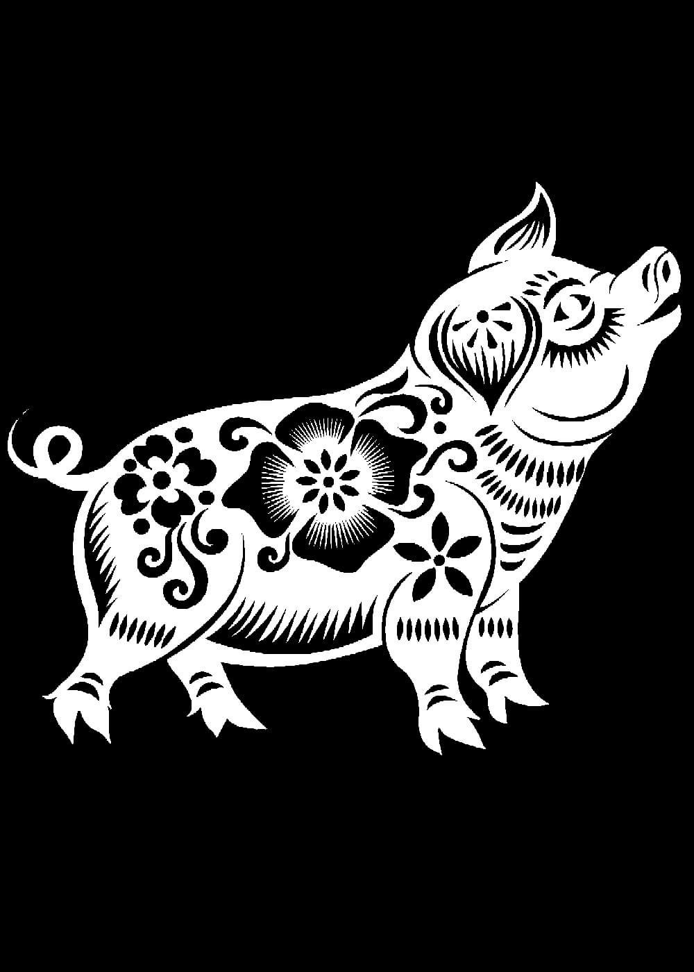 Свинья рисунок карандашом