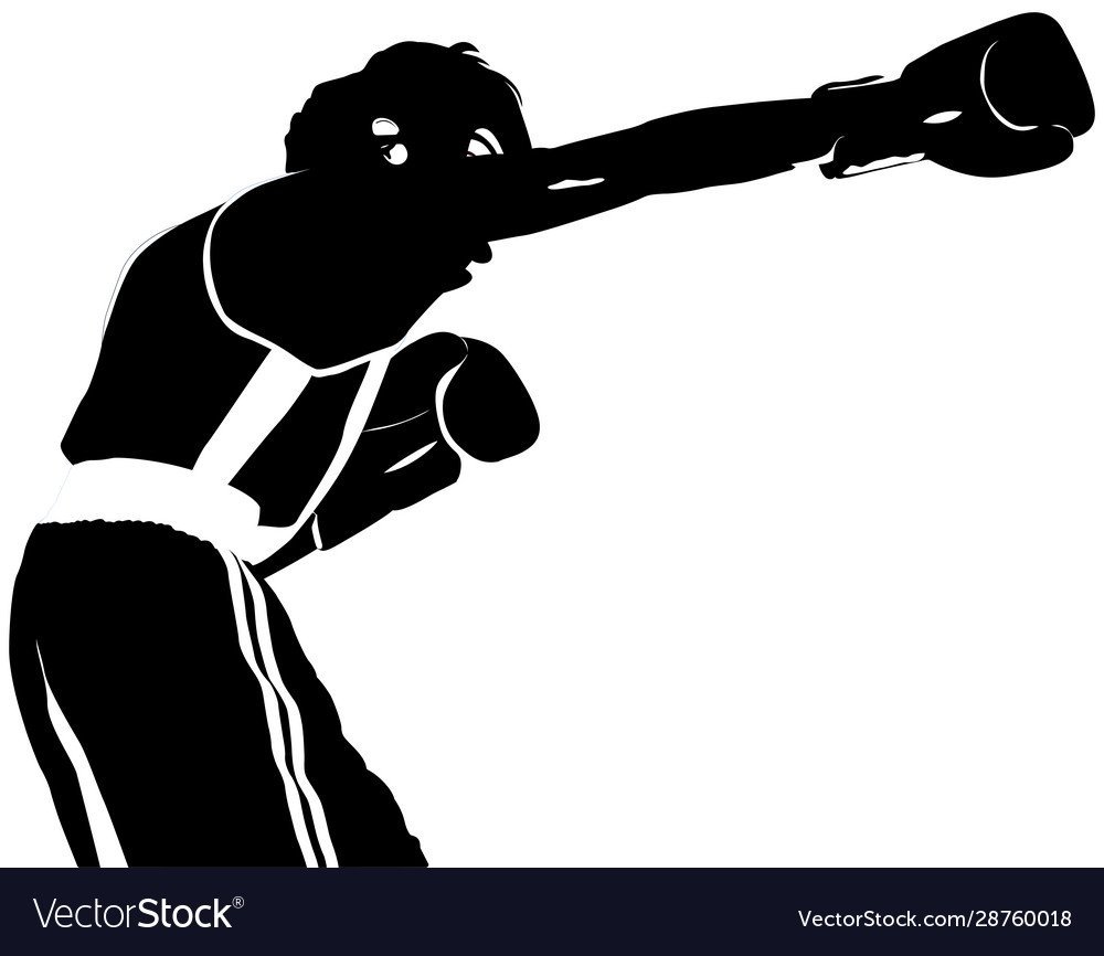 Боксер векторный