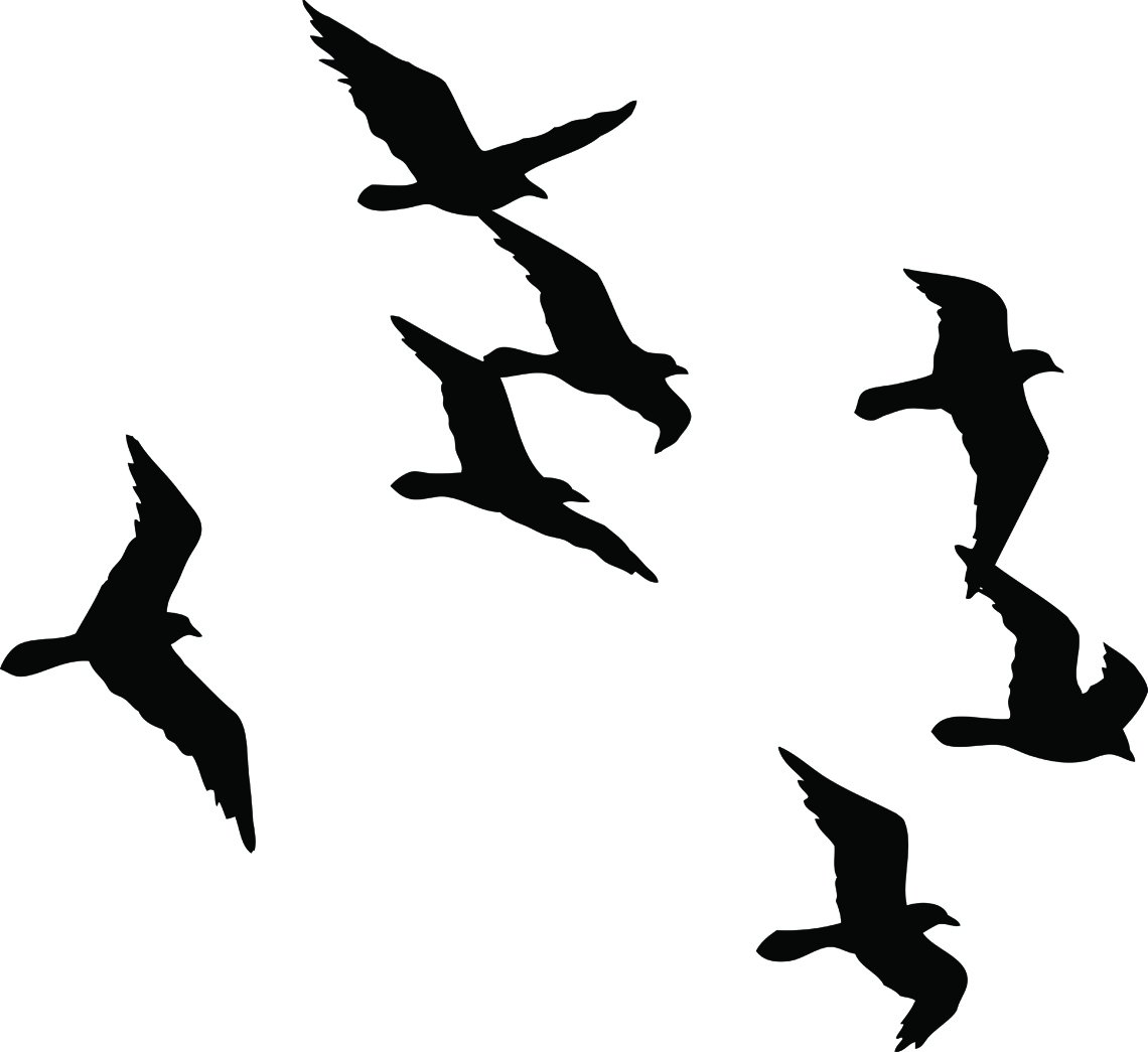 Силуэт летающих птиц