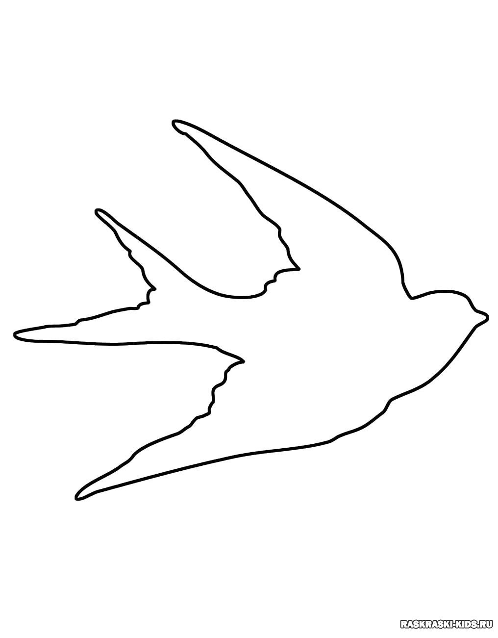 Птица контур