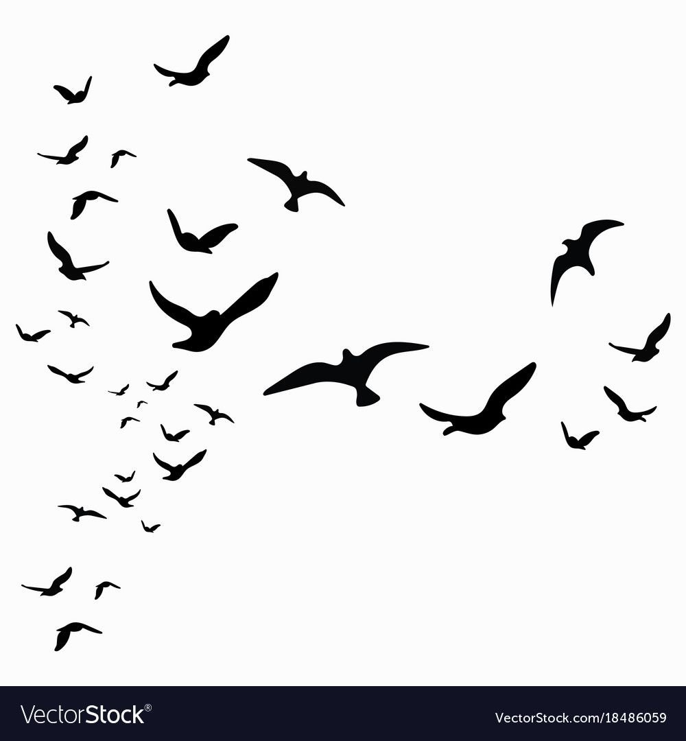 Стая птиц контур