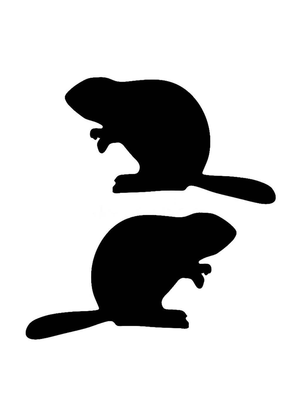 Бабр силуэт