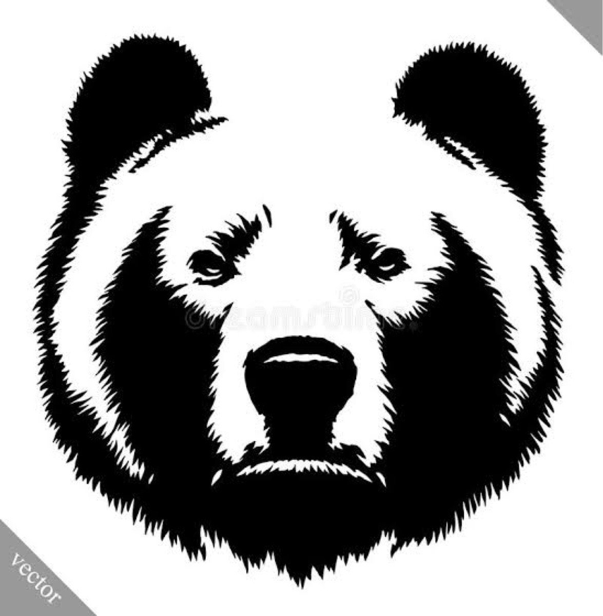 Рисунок бобра