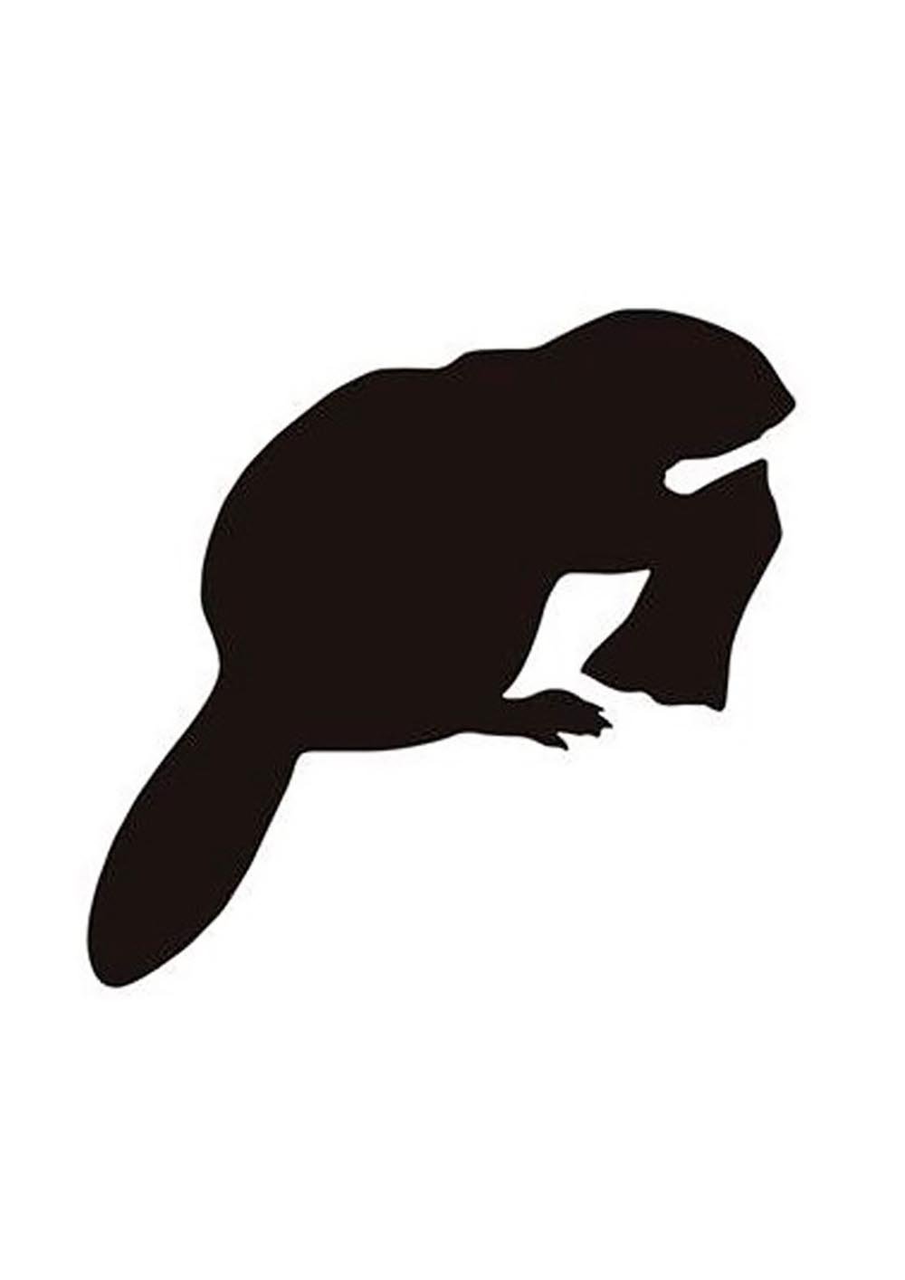 Бабр силуэт