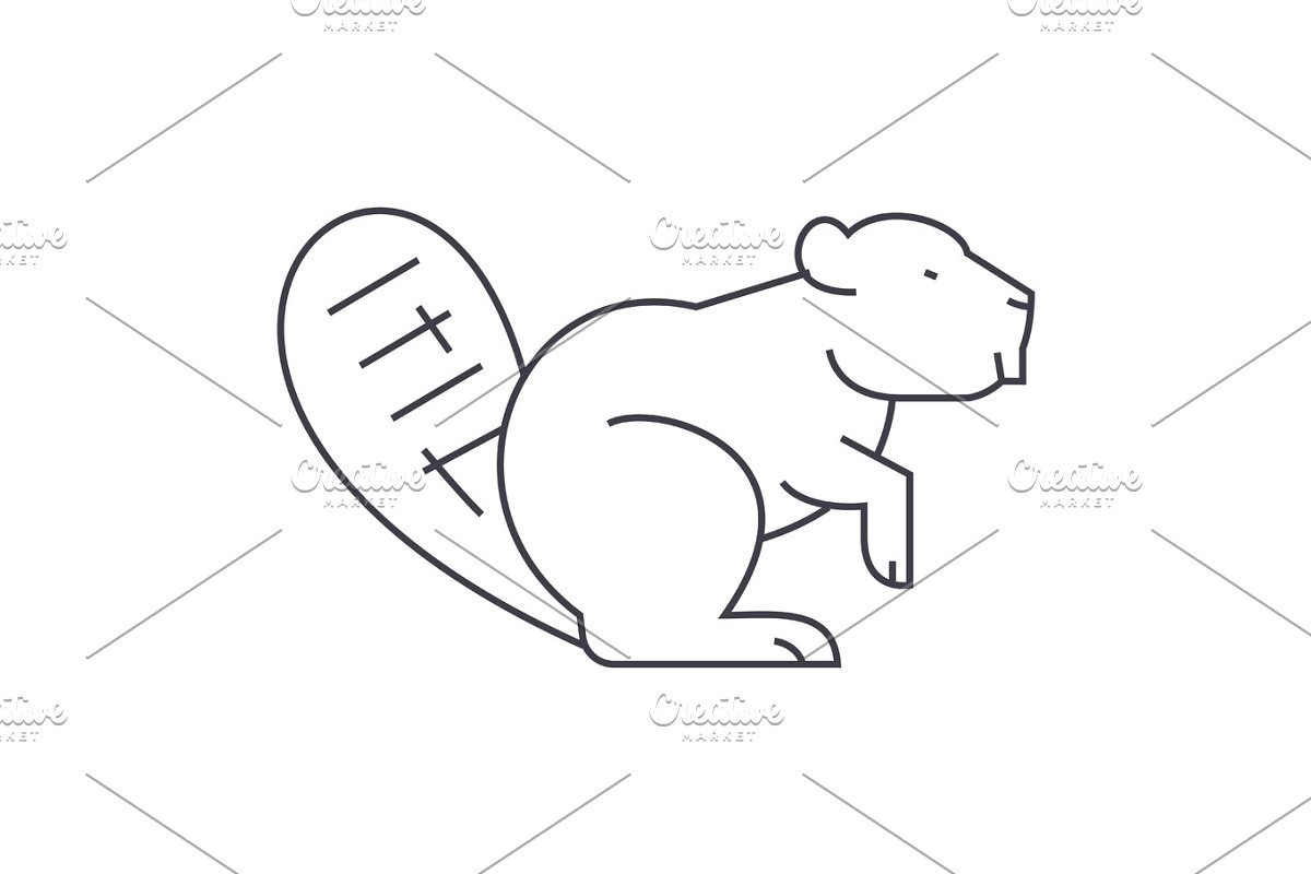 Бобер черно белый