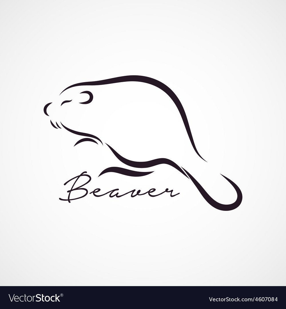 Бобер вектор голова