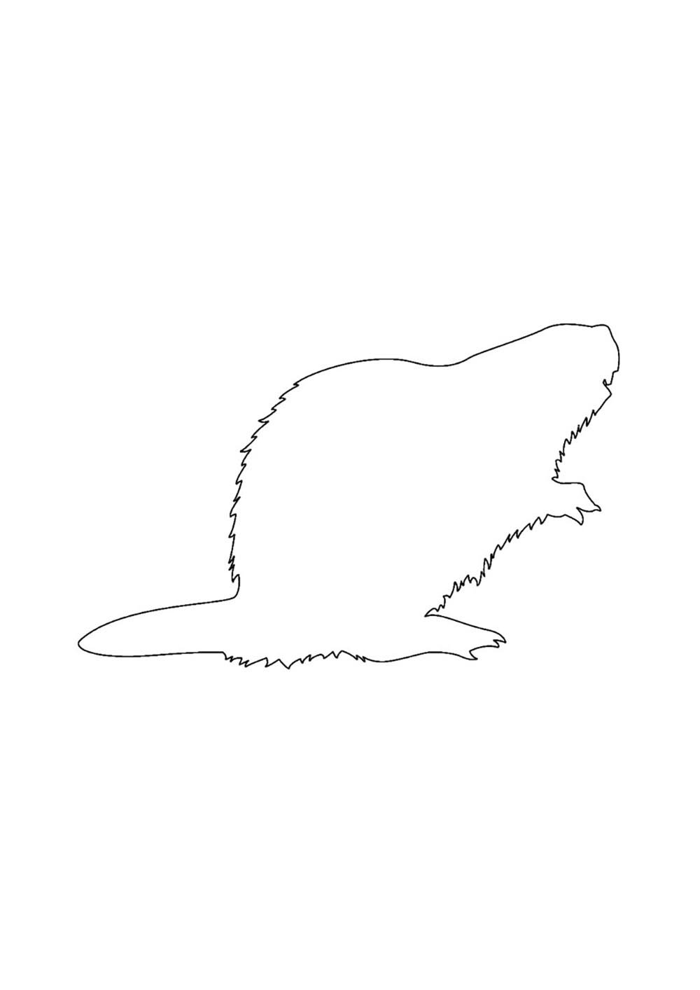 Силуэты животных Бобр