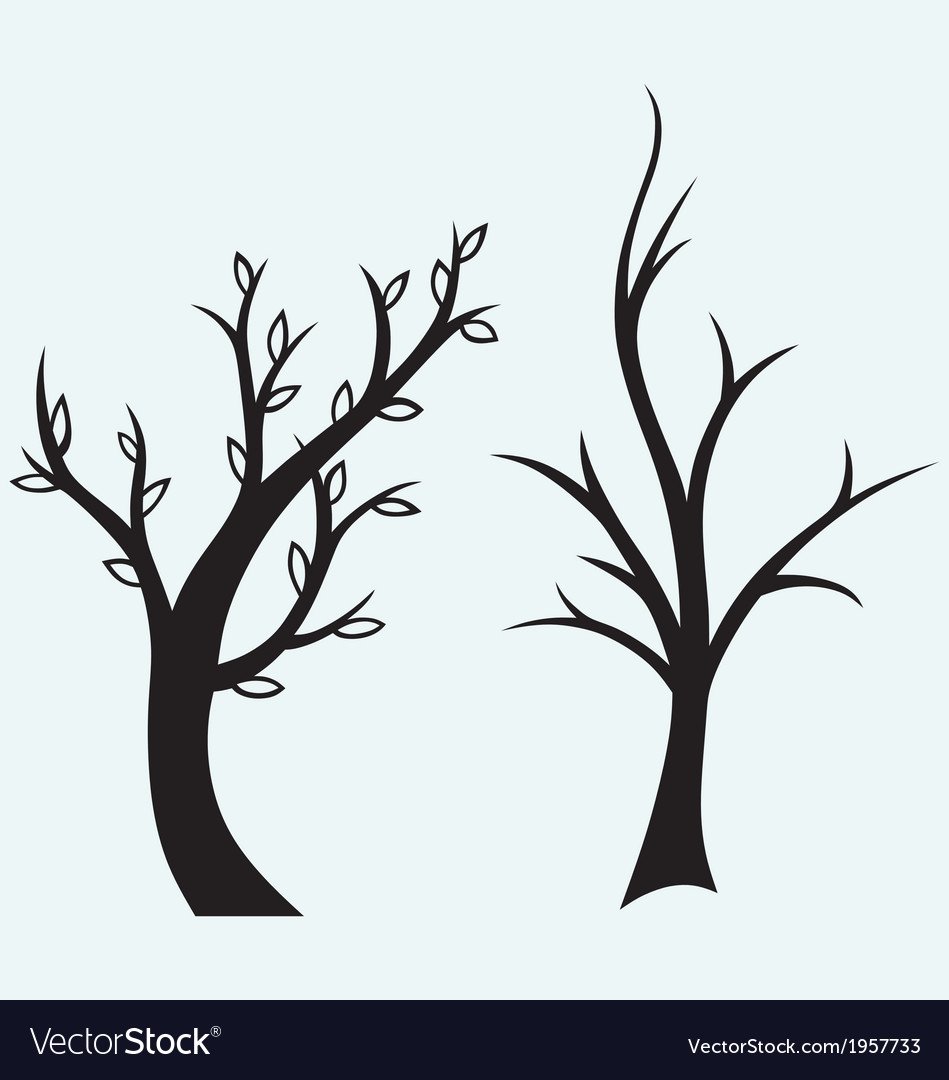 Силуэт наклоненного дерева