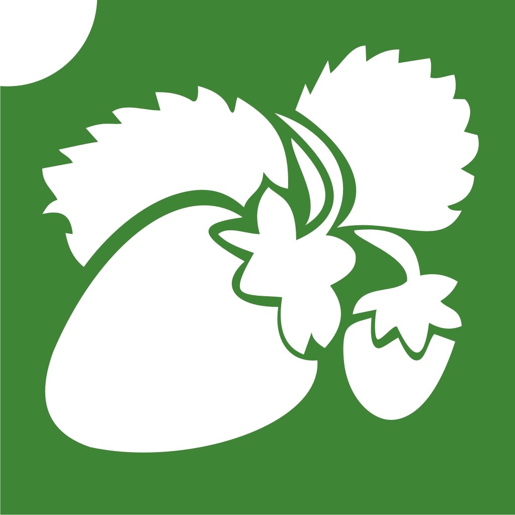 Тропические растения силуэт