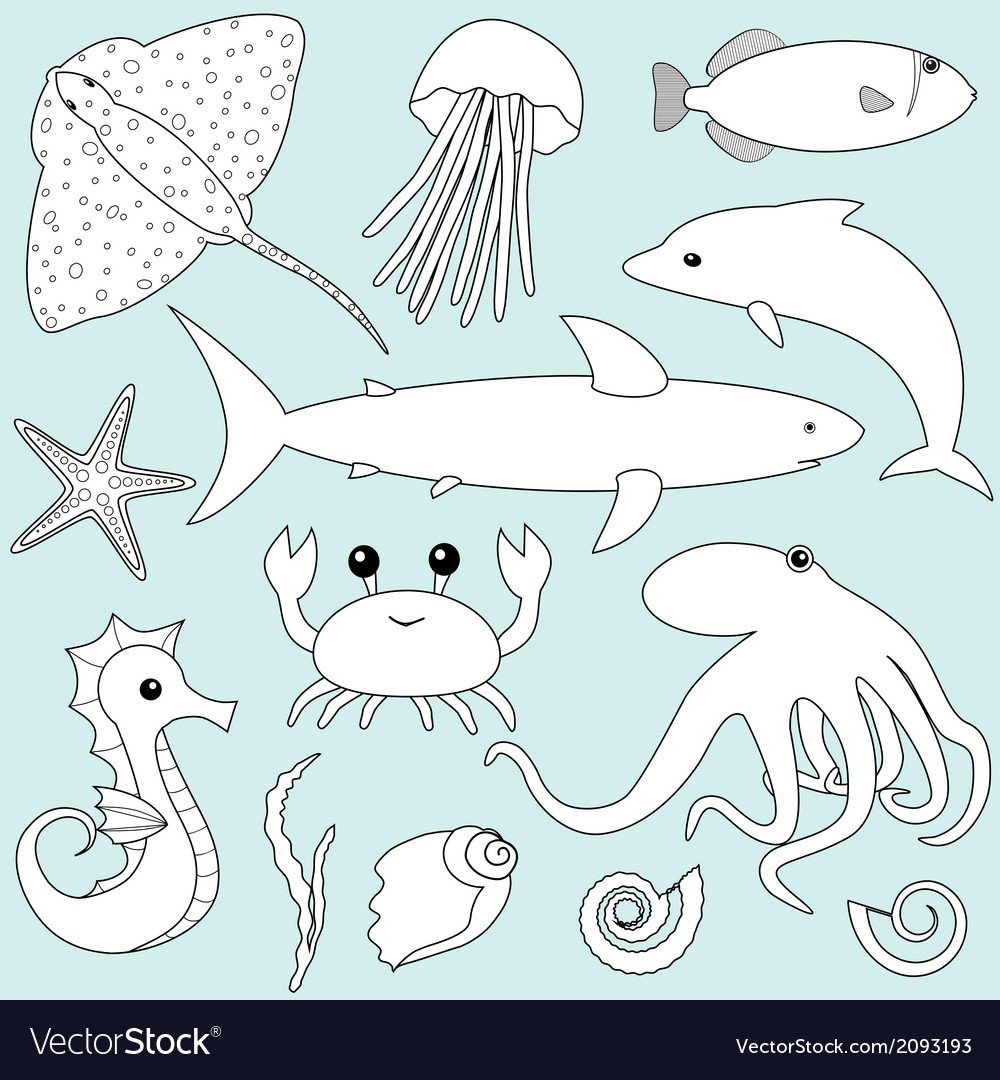 Морские рисунки