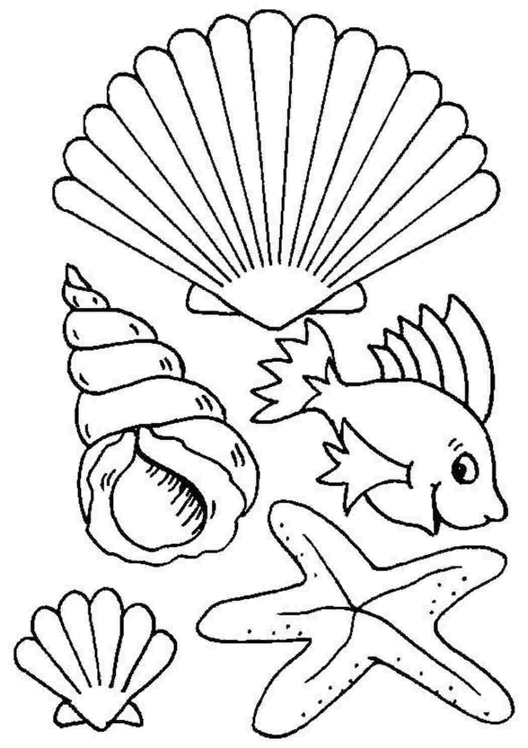 Раскраски ракушки морские