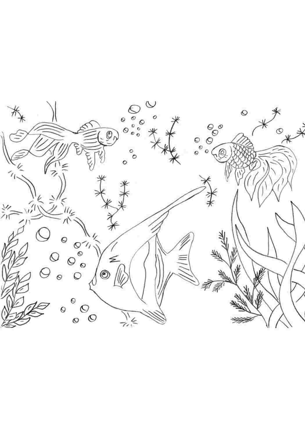 Подводный мир рисунок карандашом