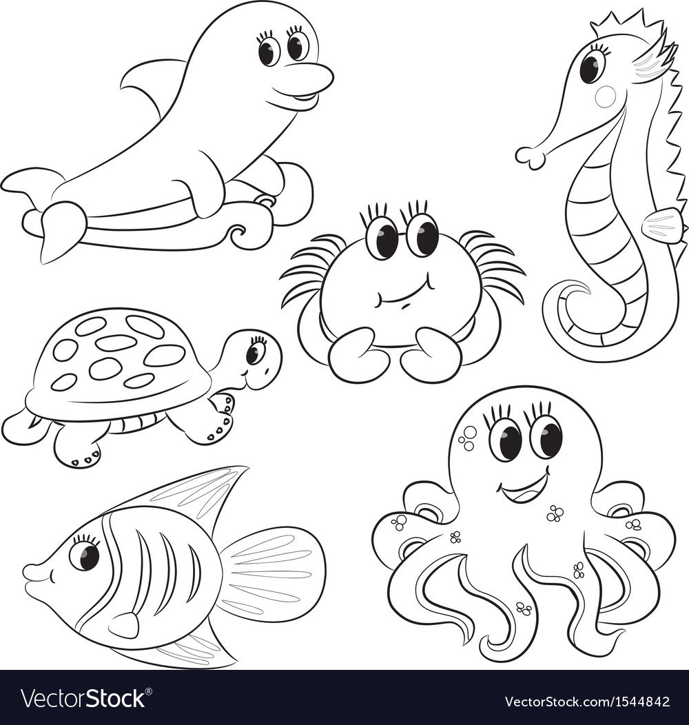 Морские обитатели для детей черно белые