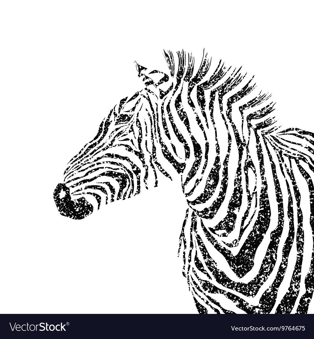 Трафарет Зебра