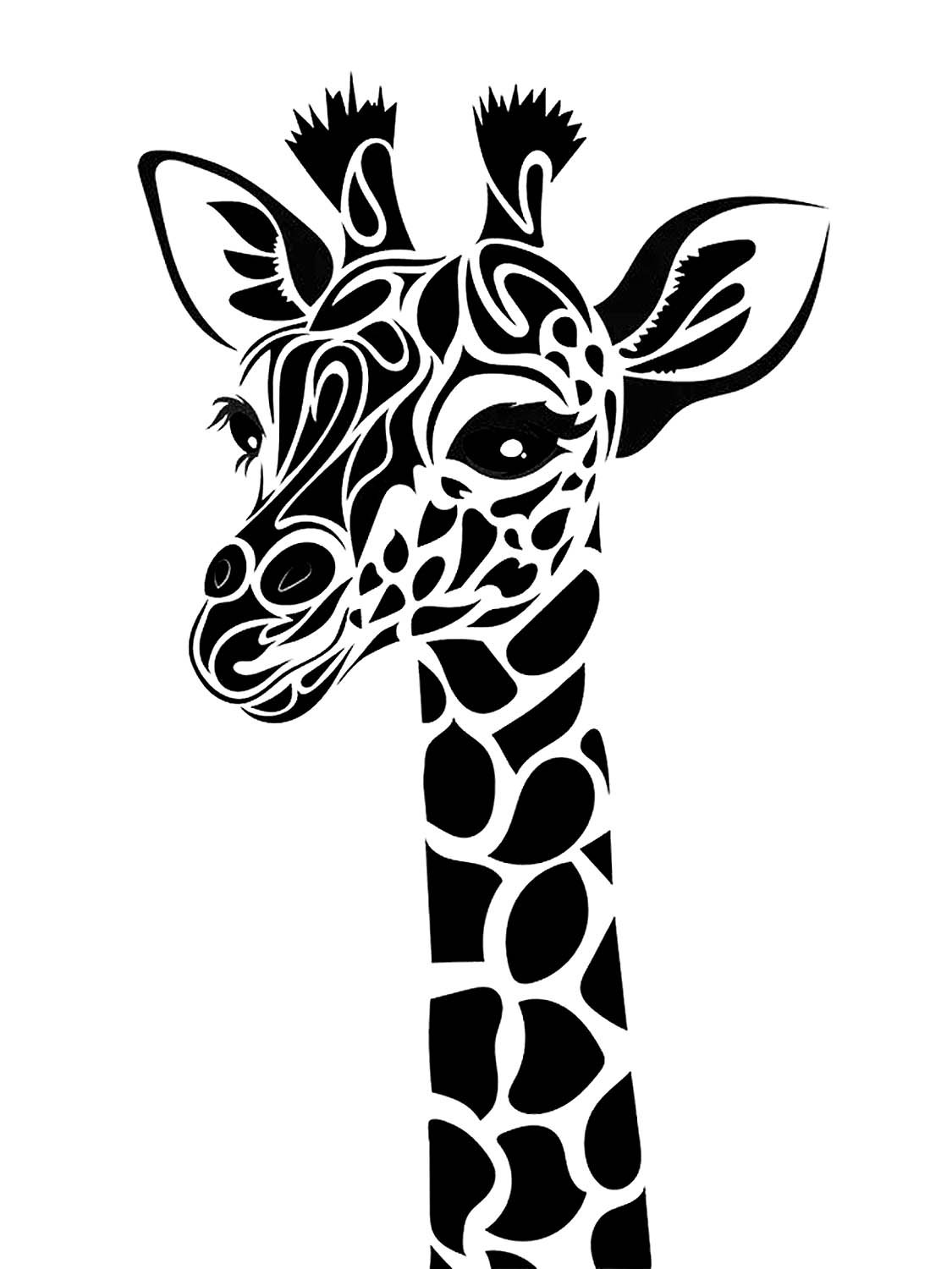 Зебра черно белая силует