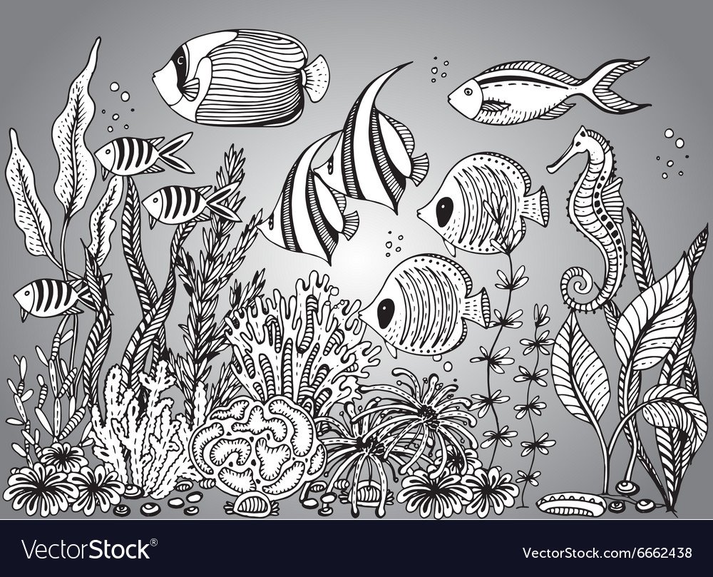 Стилизованные водоросли в графике