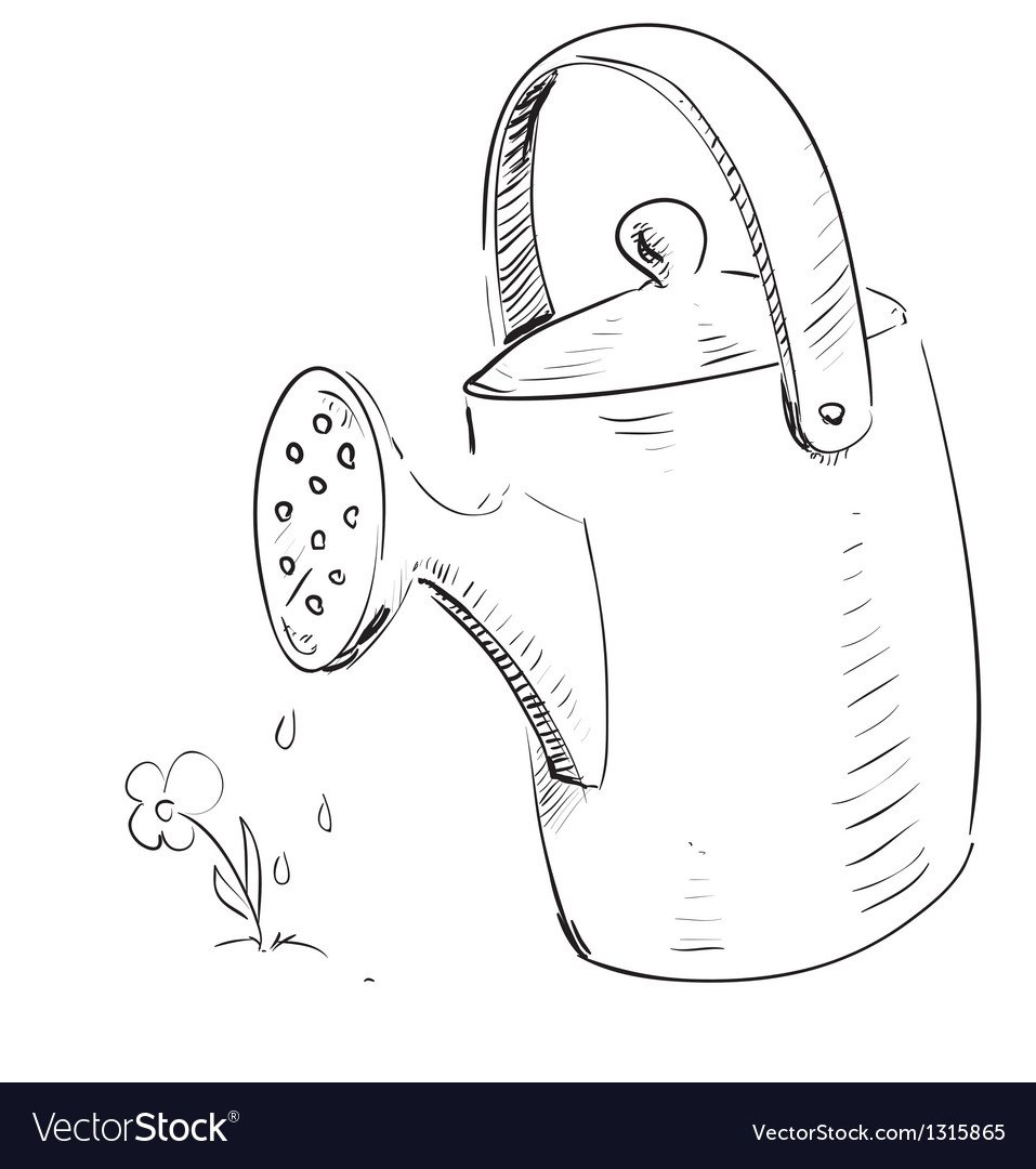 Лейка Графика