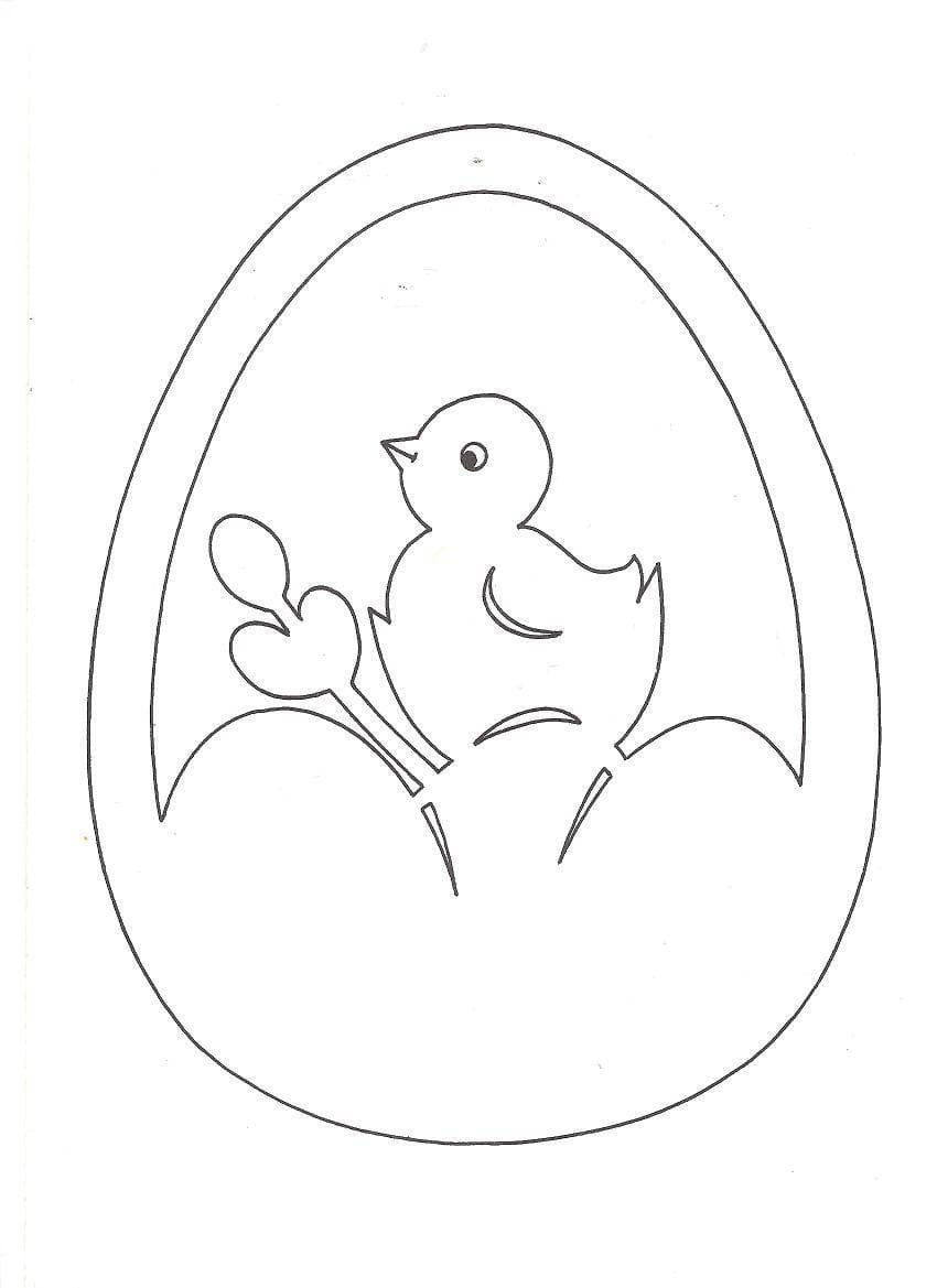 Цыпленок вектор