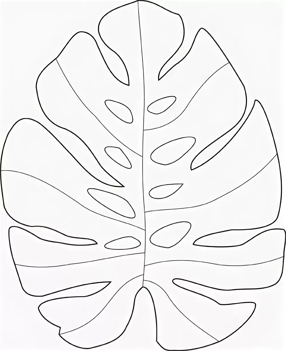 Трафареты бабочек для декора