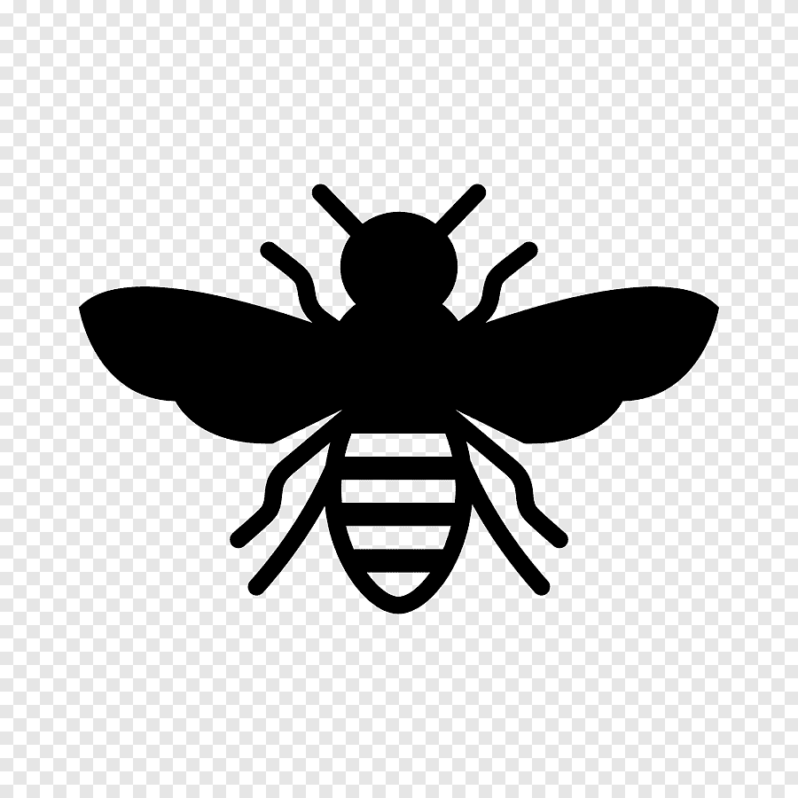Пчела контур