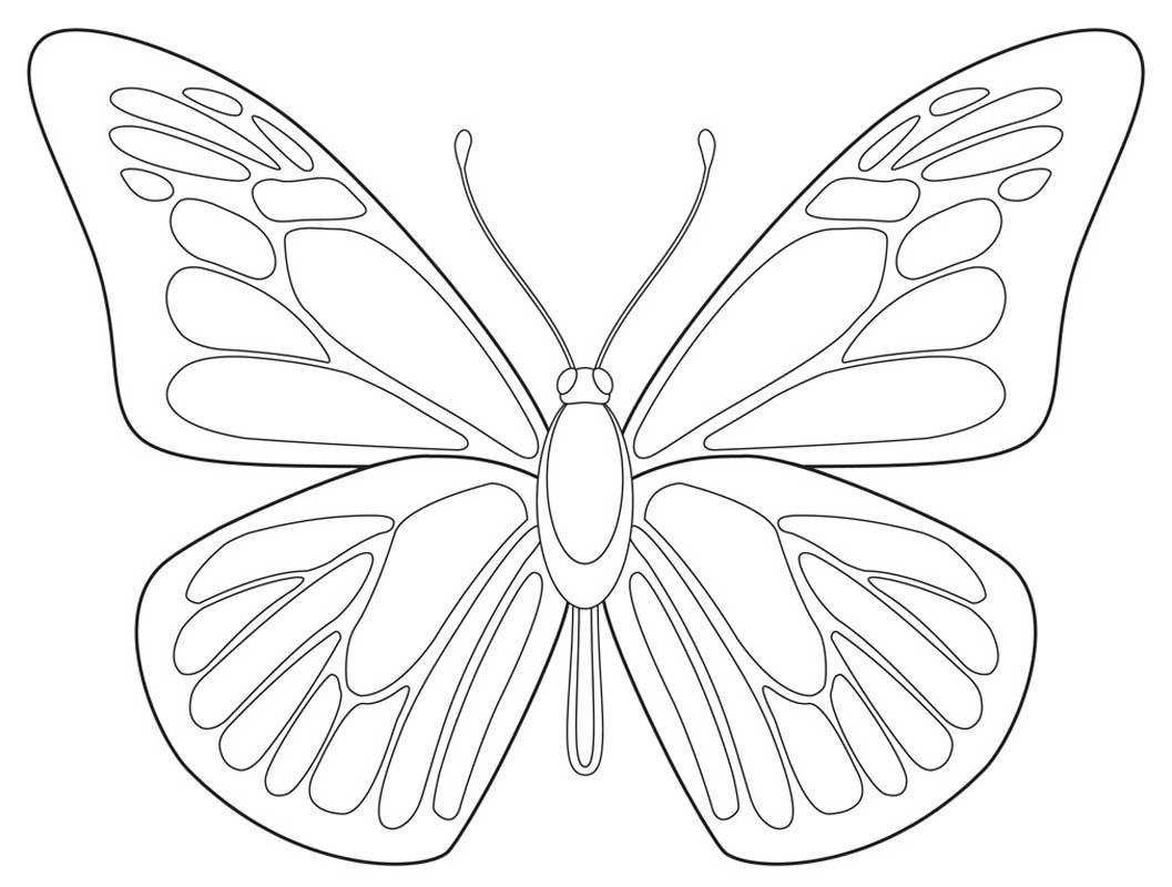 Трафареты насекомых