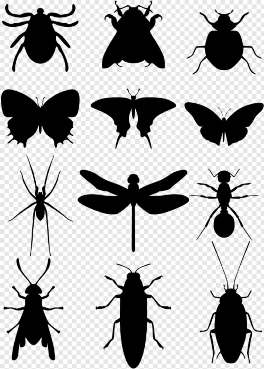 Трафарет красивых насекомых