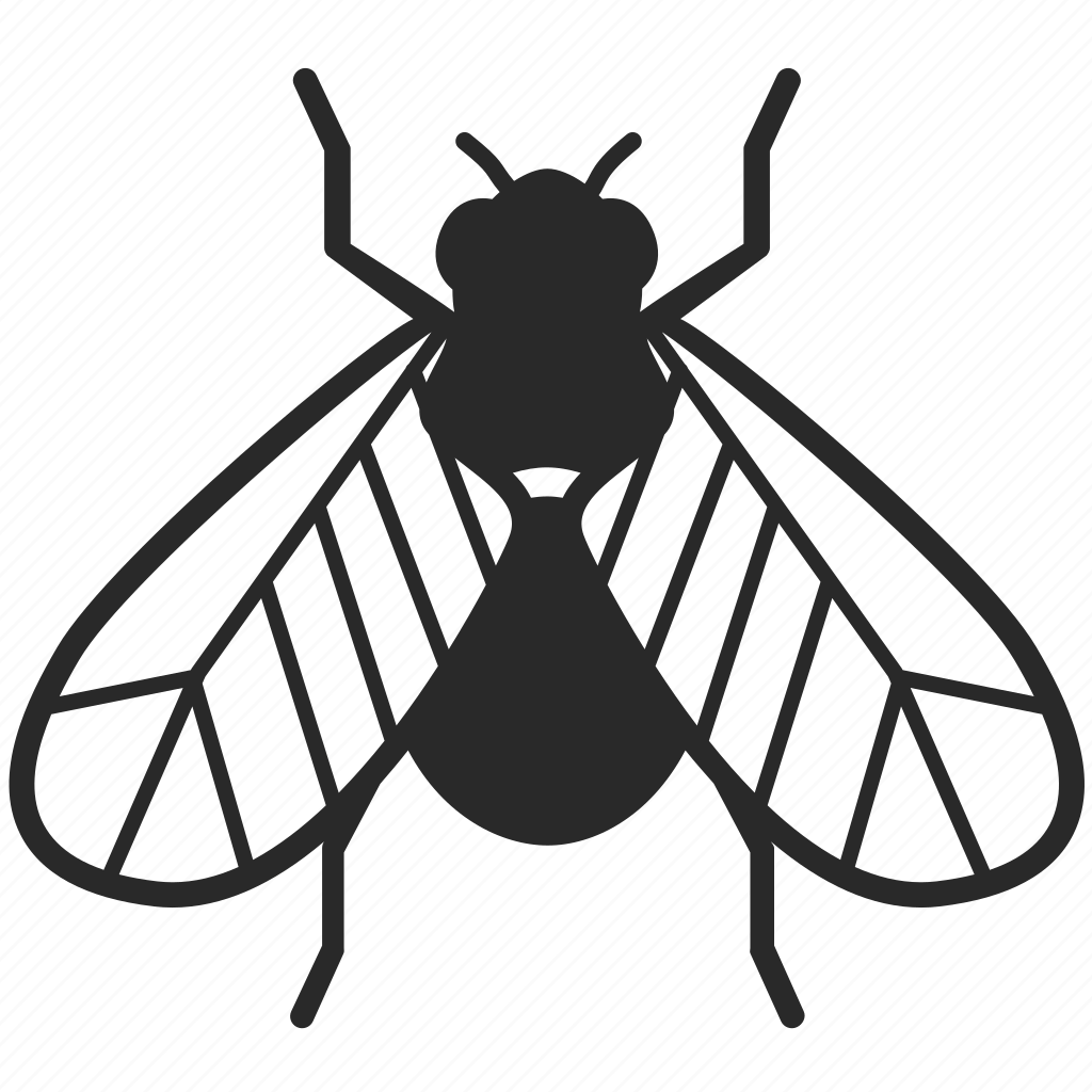 Муха контур