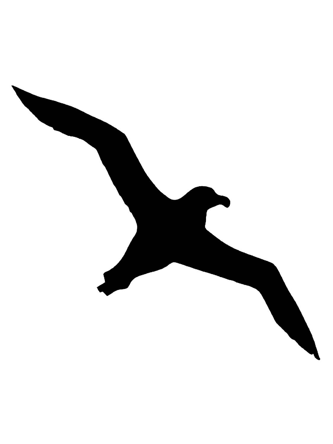 Черные птицы на белом фоне