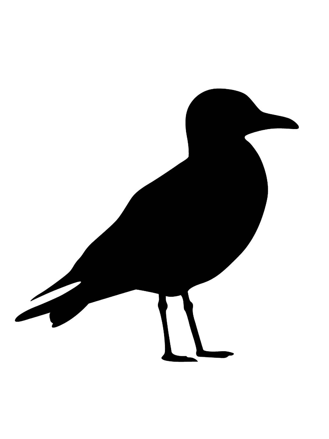 Эскиз Чайки