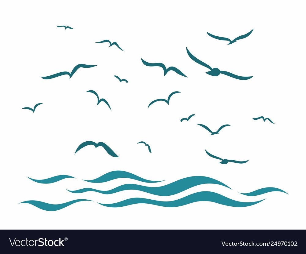 Чайка контур Графика