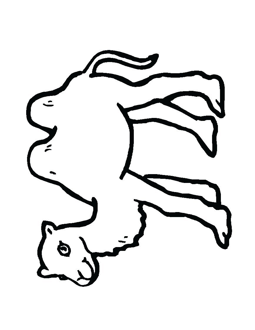 Туловища животных картинки для детей раскраски