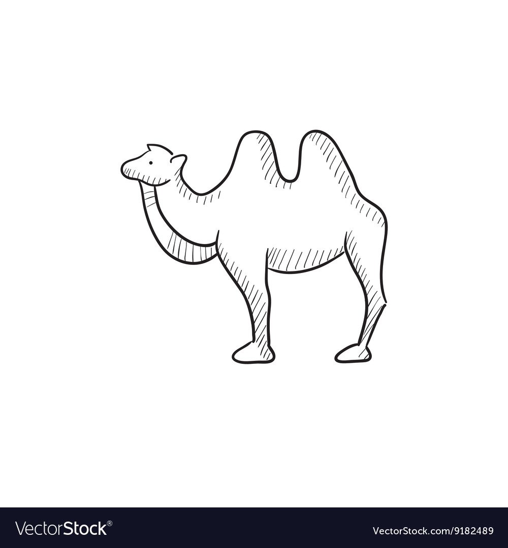 Иконки для инфографики верблюд