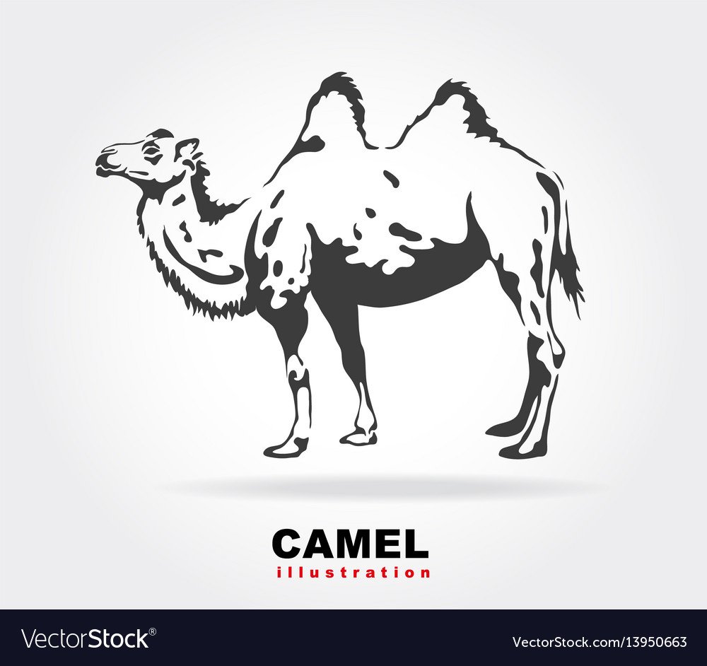 Верблюд красивый символ стилизованный