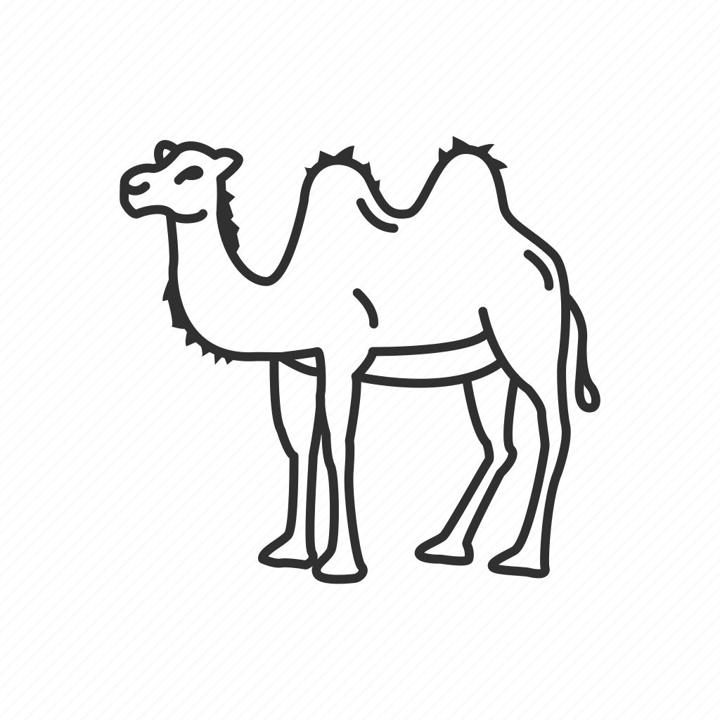 Верблюд контур