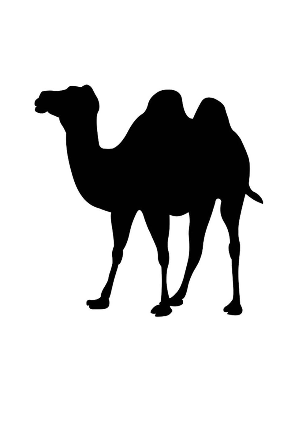 Двугорбый верблюд силуэт