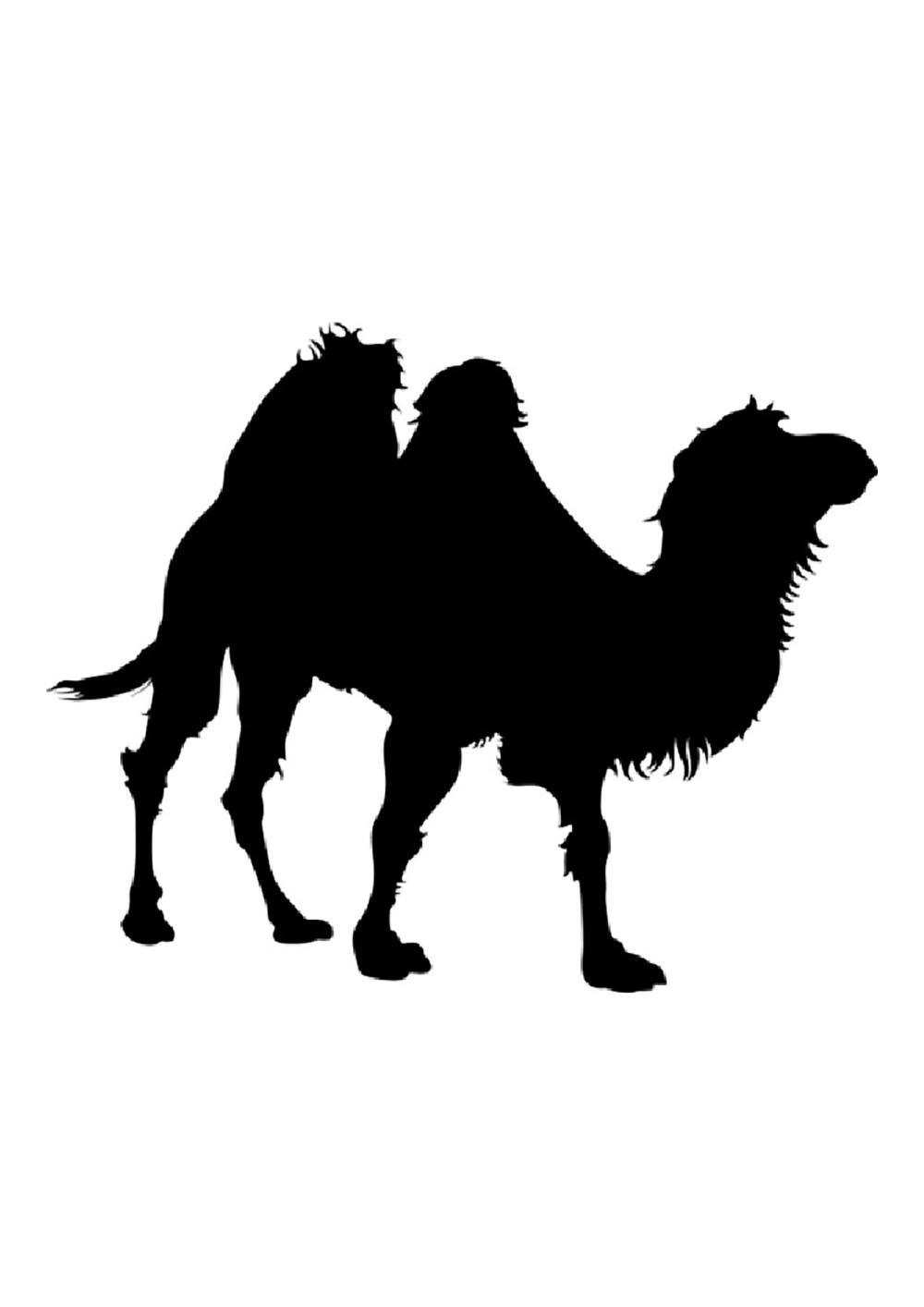 Верблюд силуэт