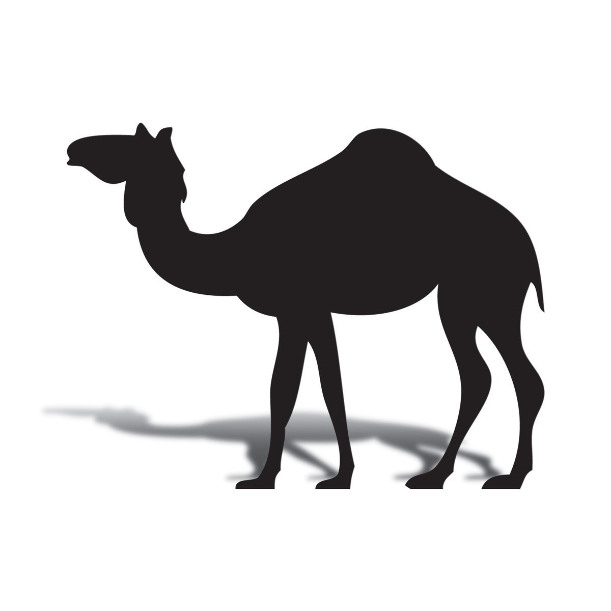 Силуэт верблюда в пустыне